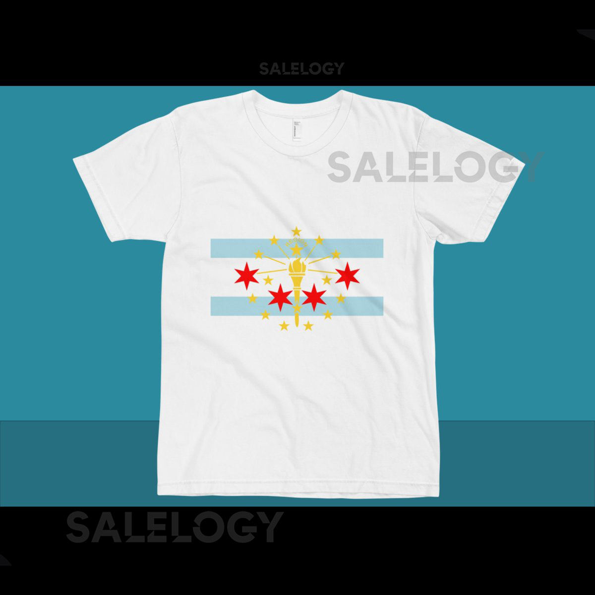 The Region - Northwest Indiana - Chicago - Flag T-Shirt_246