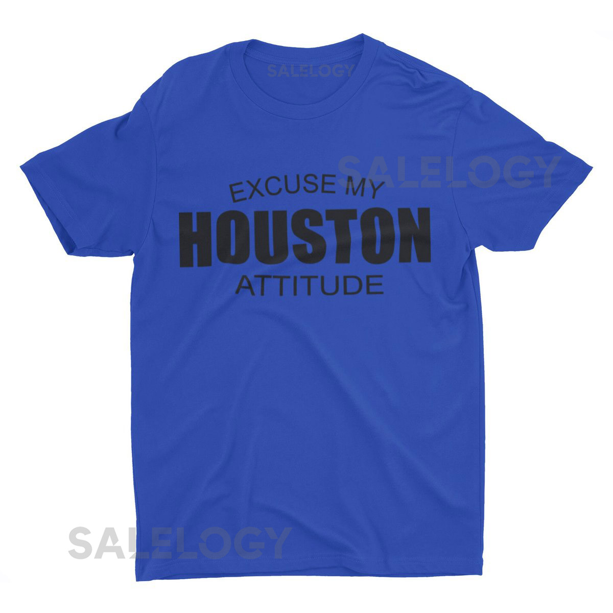 Excuse My Houston At_134