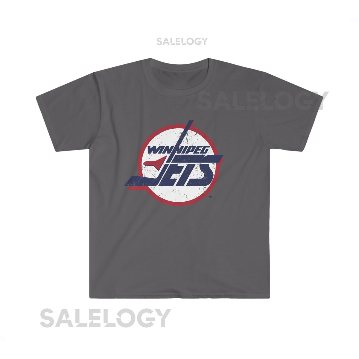 Winnipeg Jets Distressed Unisex Softstyle T Shirt_809