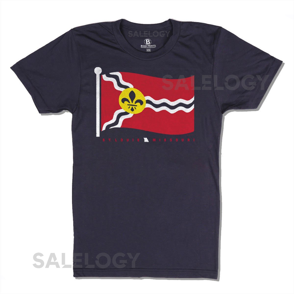 St. Louis Flag T Shirt_524