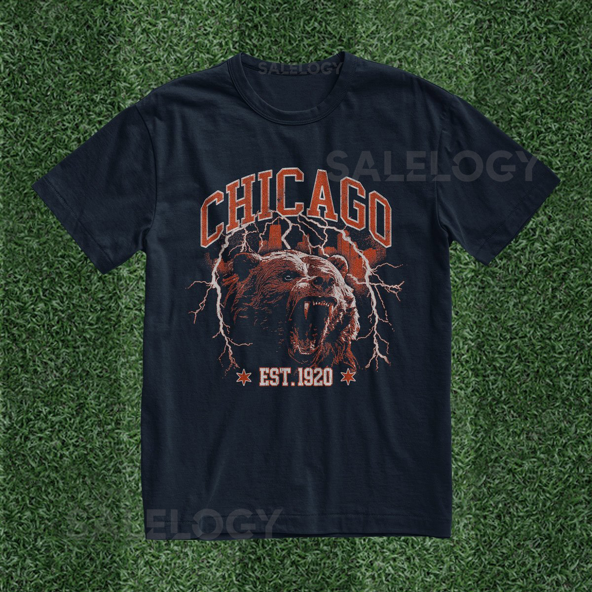 Unisex Chicago Vintage Bear Football Tailgate Shirt_877