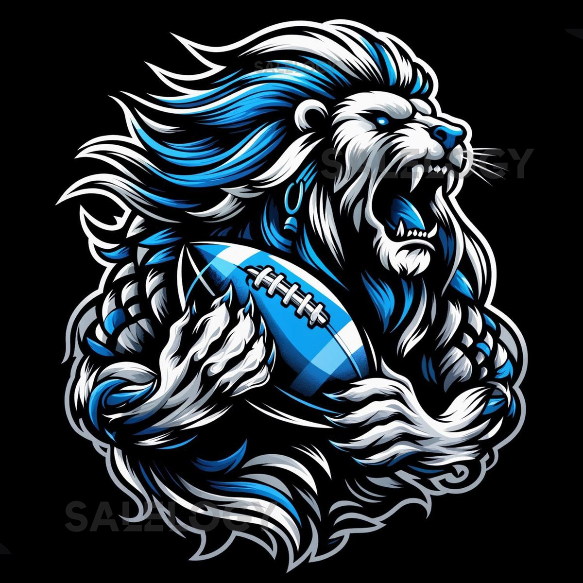 Detroit Lions Football T-Shirt_239