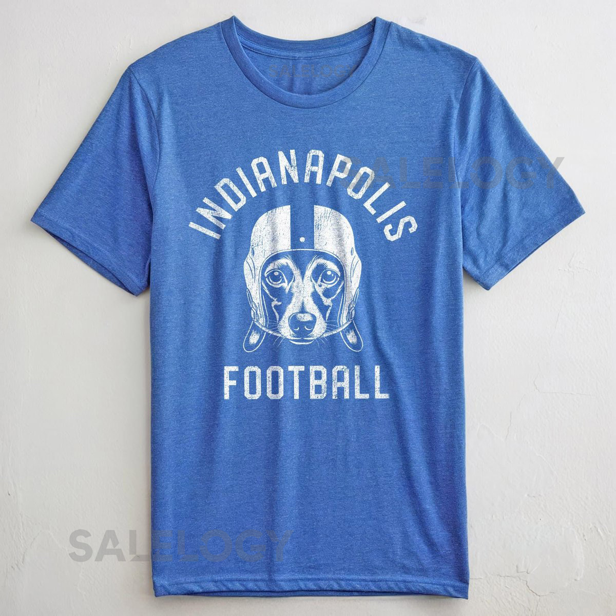 Indianapolis Football Dachshund T-Shirt Dog Lover Gift for Indianapolis Colt_494