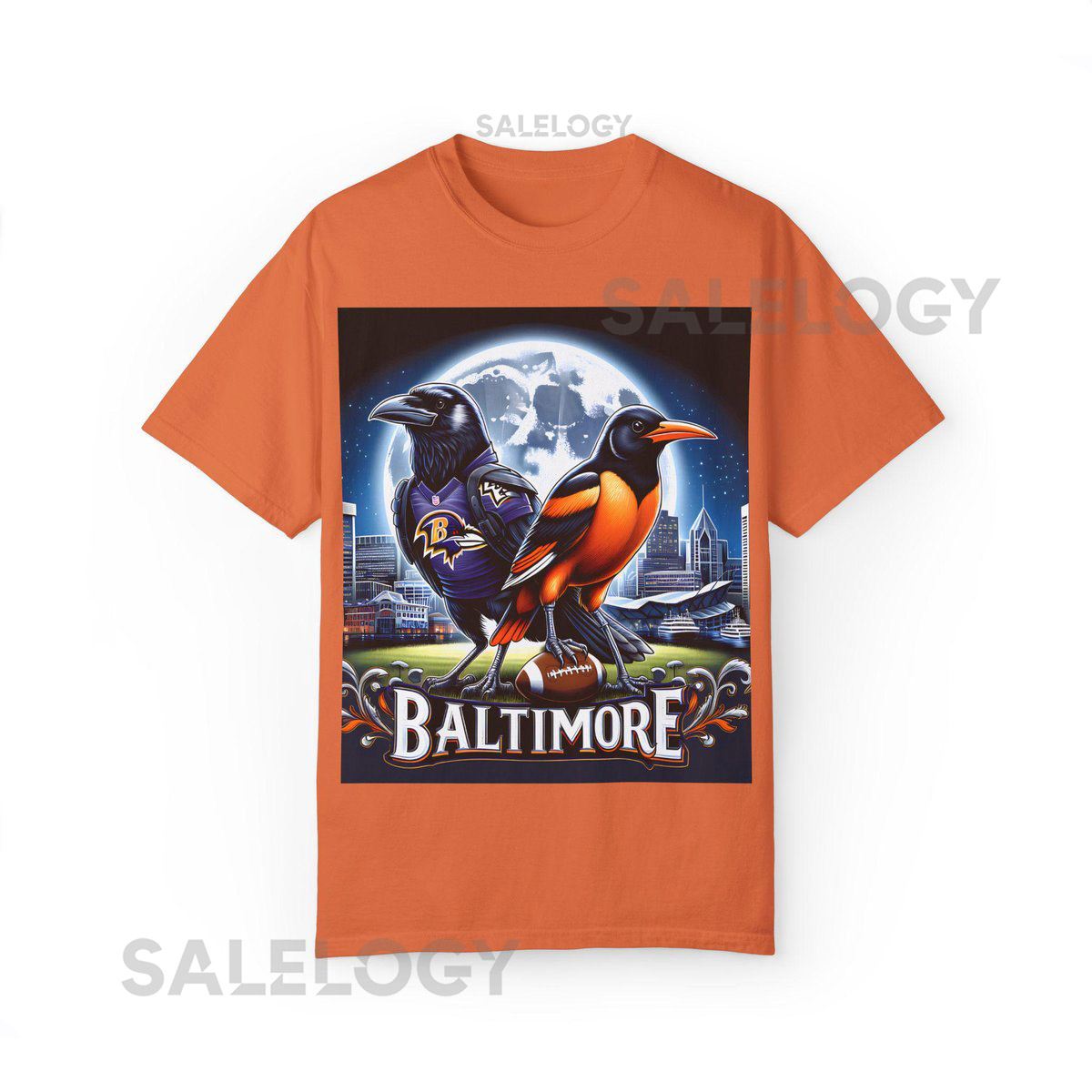 Baltimore Ravens Orioles T-shirt Baseball Football Fan Gift Baltimore Birds Tee Unisex Garment-Dyed Shirt Sports Apparel Team Spirit_153