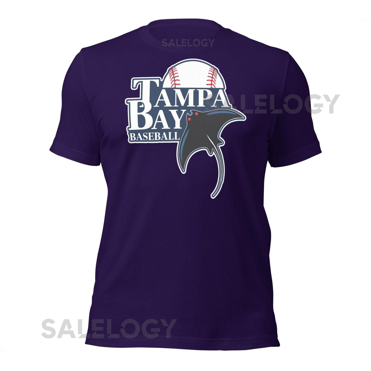 Vintage Tampa Bay Baseball T-Shirt Retro Sports Fan Apparel_533