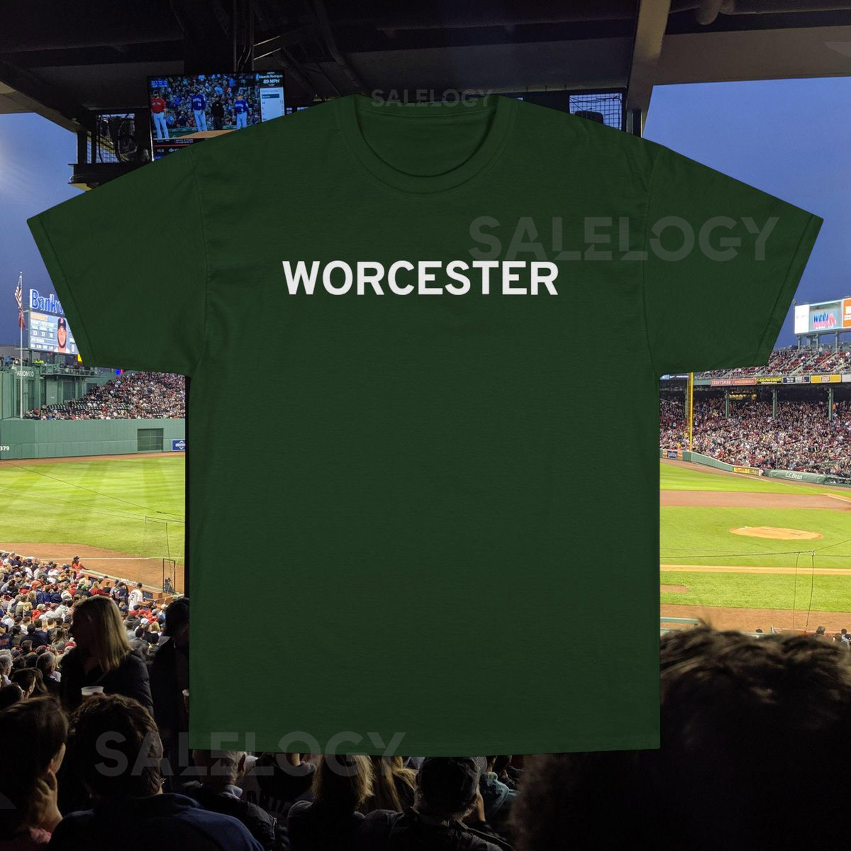 Champion T-Shirt Worcester Red Sox Fenway Tribute Tee Baseball Fan Gift Sports Team Shirt Red Sox Apparel City Connect_249