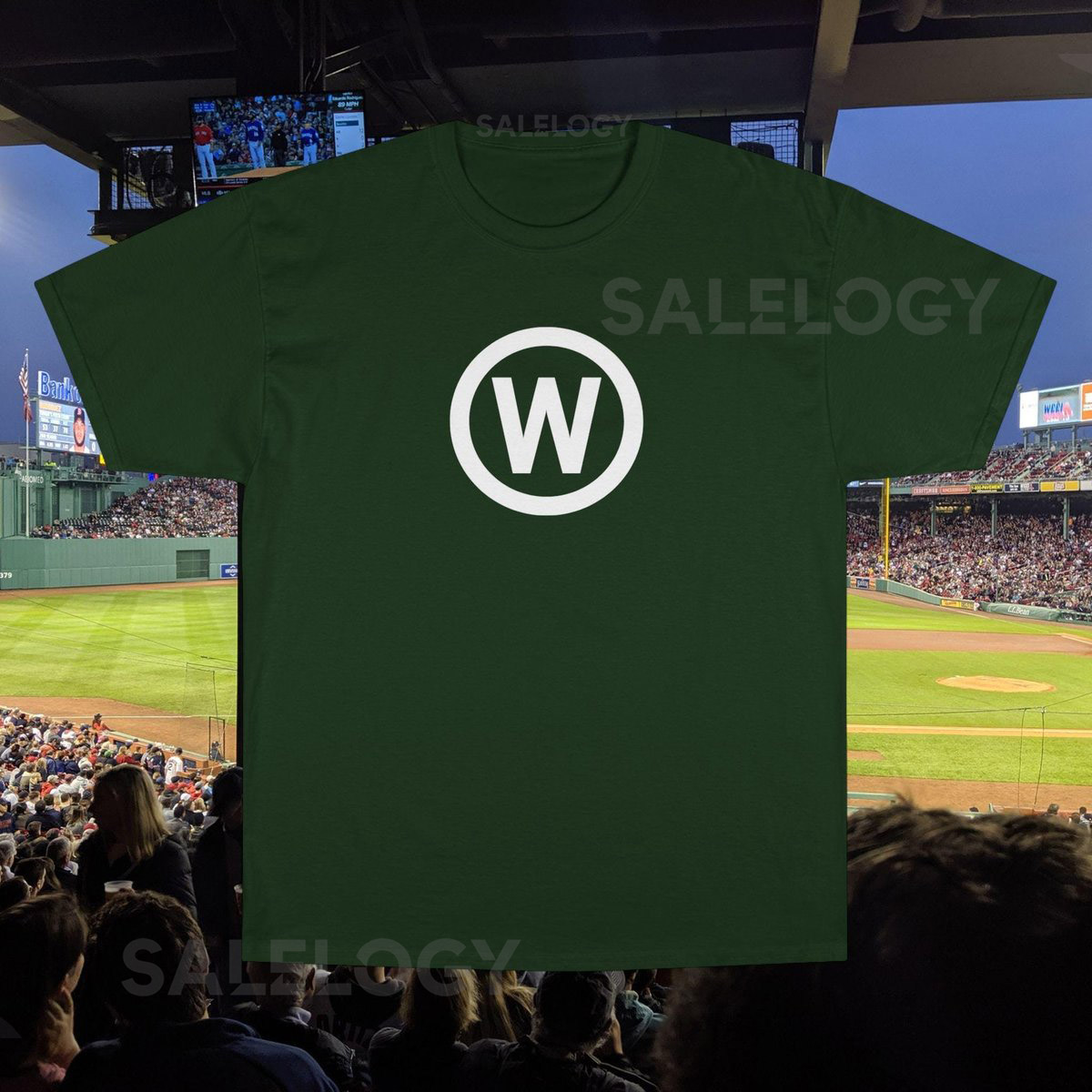 Champion T-Shirt W Worcester Red Sox Fenway Tribute Tee Baseball Fan Gift Sports Team Shirt Red Sox Apparel City Connect_248