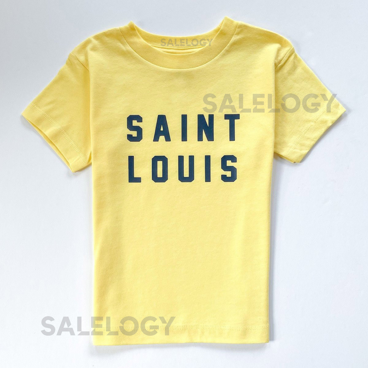 SAINT LOUIS Kids Tee   St Louis T Shirt   SLU Tops and Sweatshirts   Tower Grove Park Print   Custom StL Gifts   Blues Hockey Cardinals Fan_456