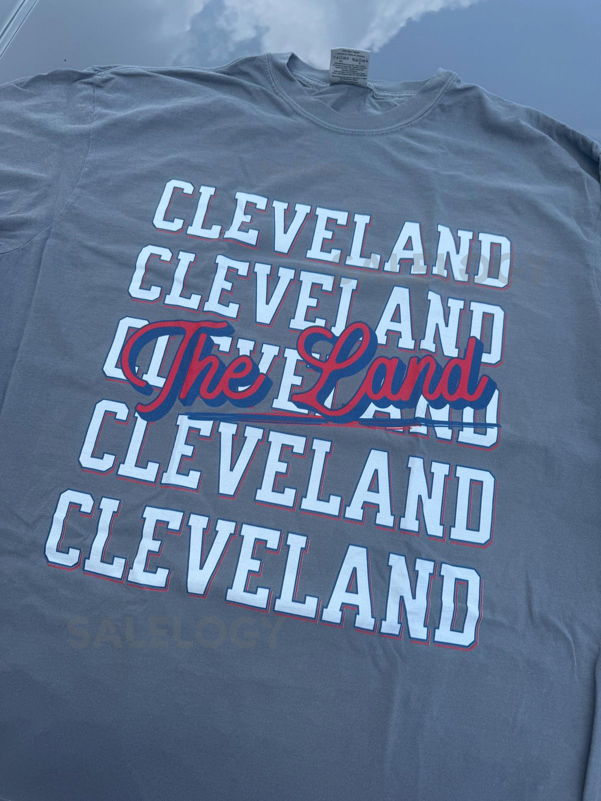 Cleveland The Land T-Shirt Retro Unisex Comfort Tee for Midwest Pride Vintage Cleveland Shirt_345