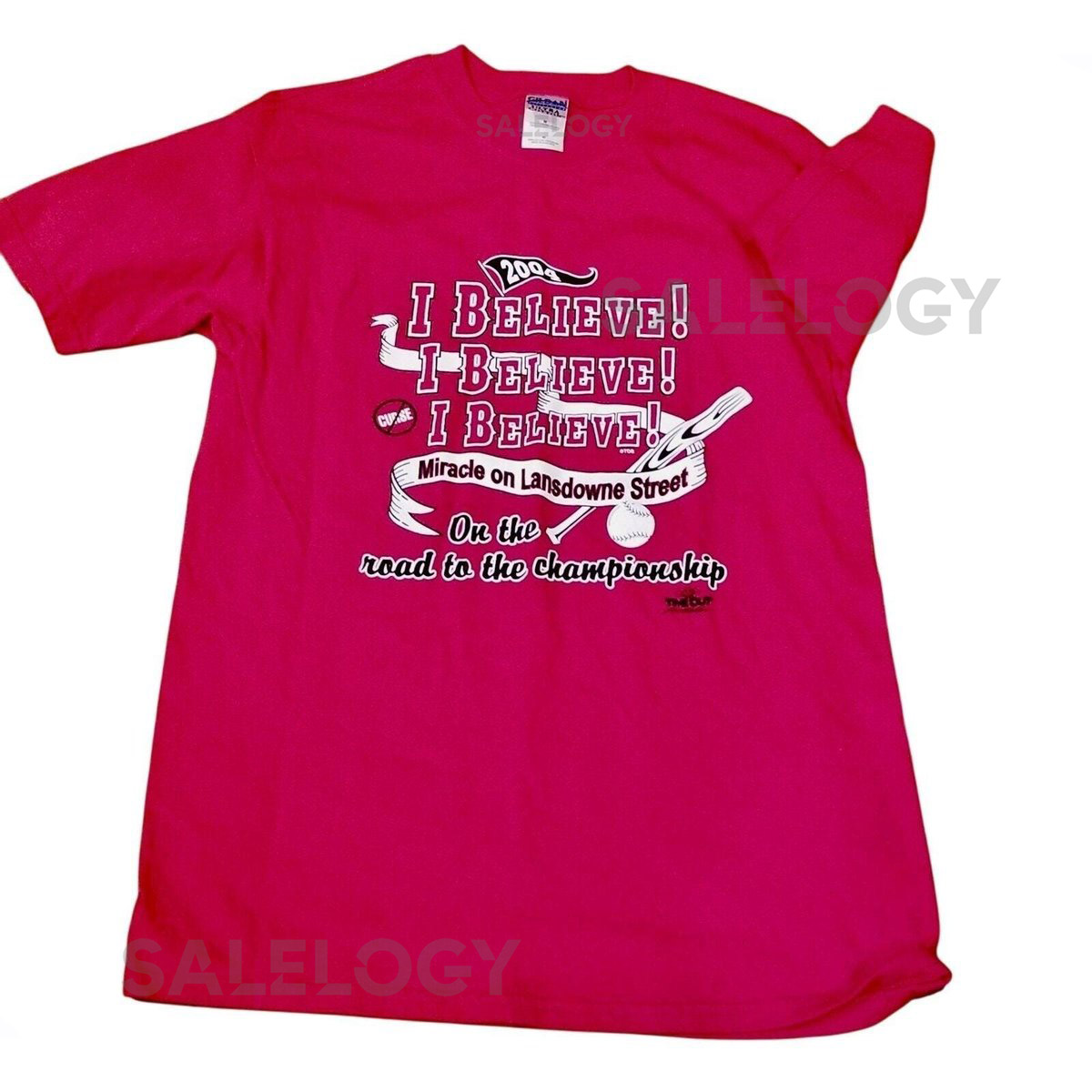 Vintage MLB Boston Red Sox 2004 World Series Tshirt Mens L_705