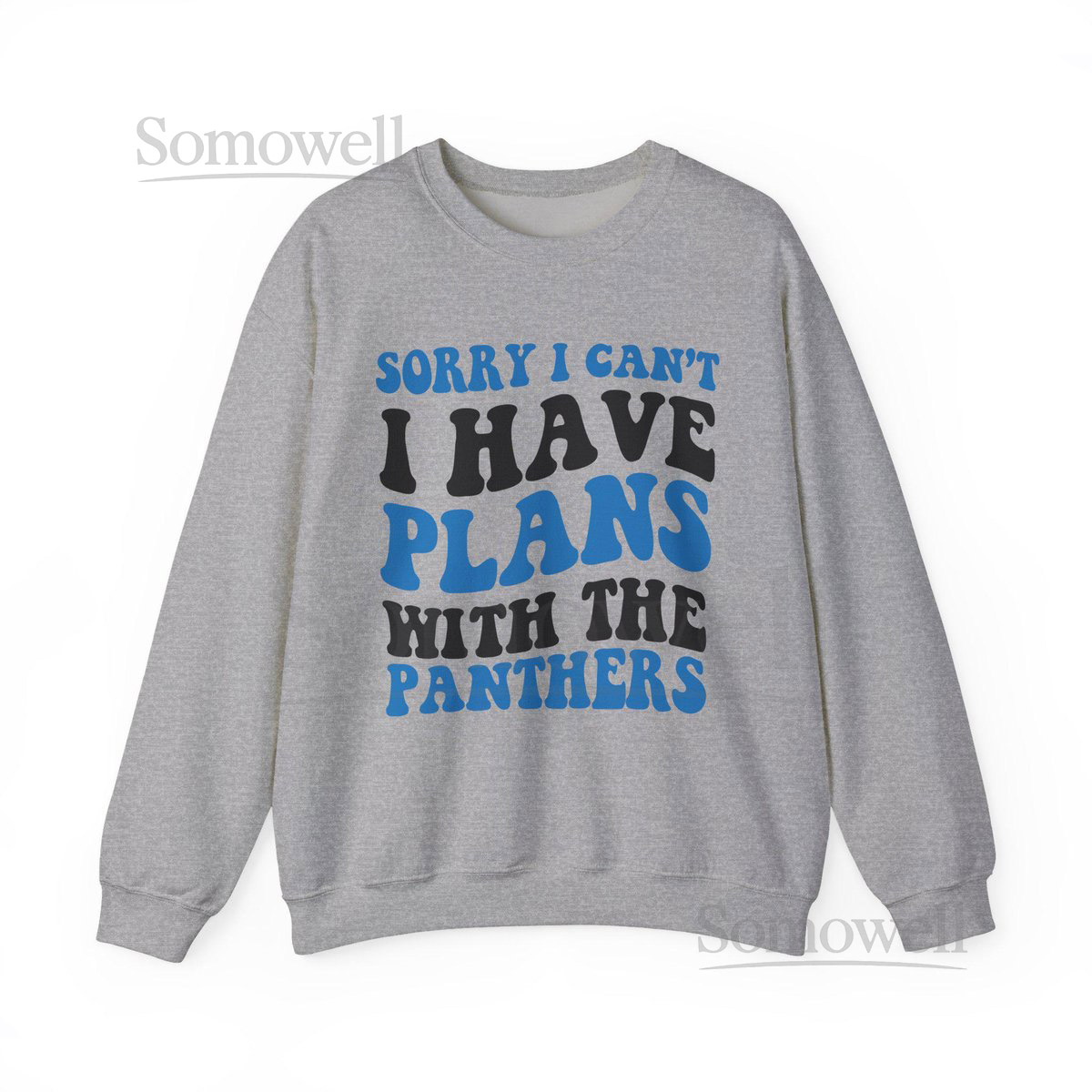 Sorry I Can't I Have Plans With Carolina Football Sweatshirt Black and Blue Fan Pullover Panthers Game Day Football Lovers Shirt_858
