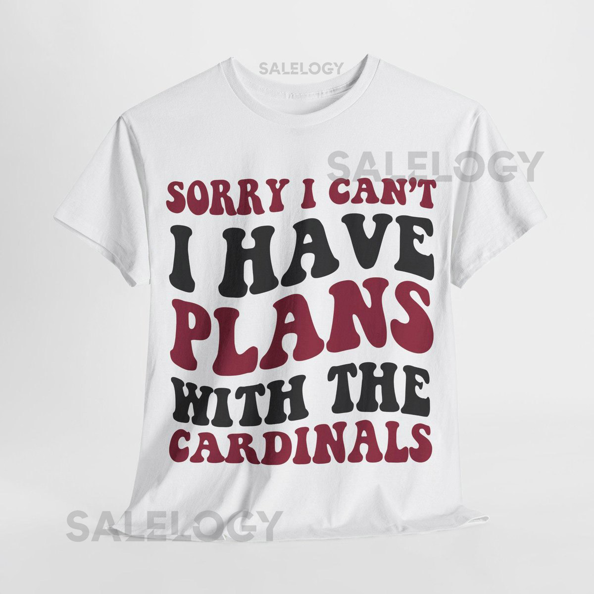 Sorry I Can't I Have Plans With Arizona Football Shirt Cardinals Fan Tee Red and Black Game Day Top_856