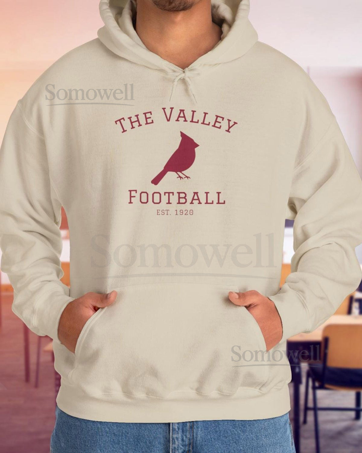 Arizona Cardinals Hoodie The Valley Football Fan Sweatshirt NFL Team Apparel_38