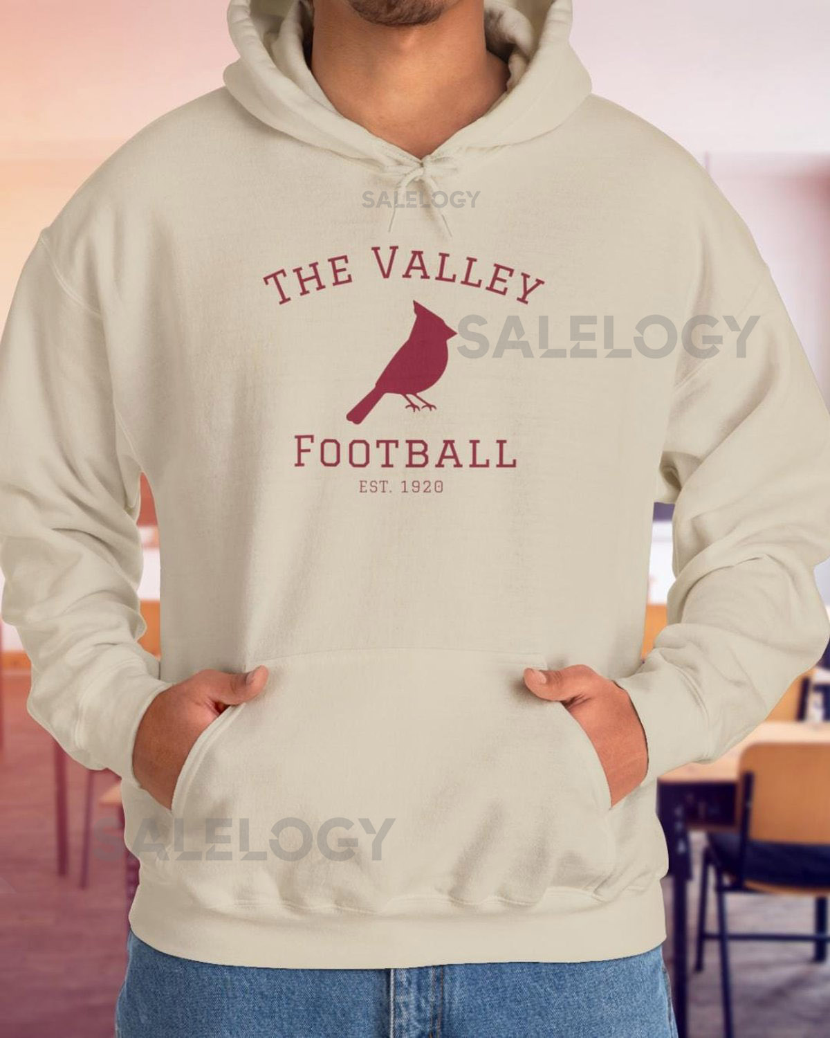 Arizona Cardinals Hoodie The Valley Football Fan Sweatshirt NFL Team Apparel_38