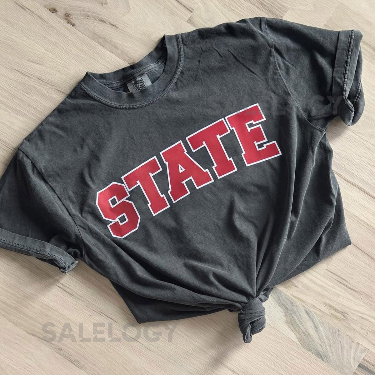 Comfort Colors STATE T Shirt Distressed Collegiate Style_101