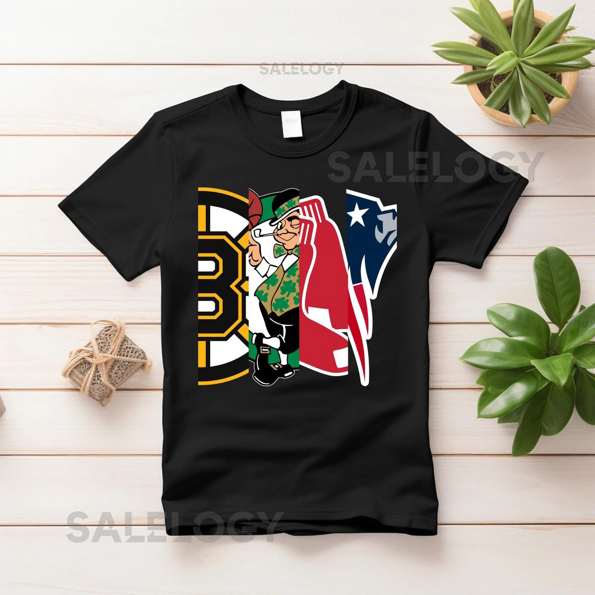 Boston Sports Teams Logo Shirt Die Hard Fan Tee_219