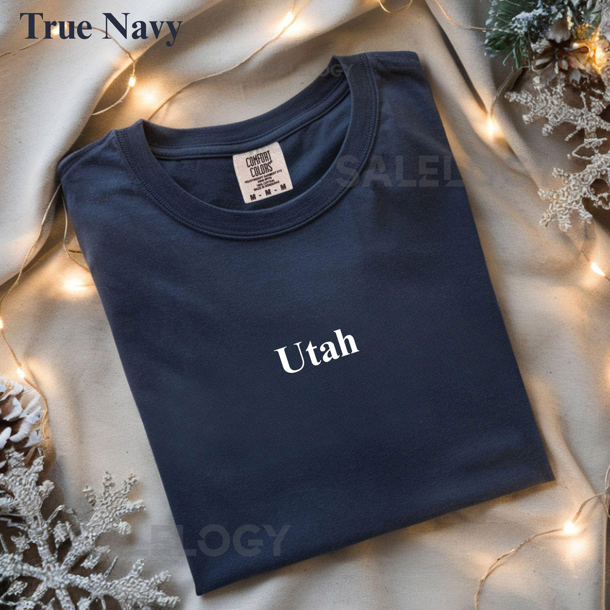 Comfort Colors Utah Graphic T Shirt Red Rock Tee Desert Travel Gift for Her Utah State Shirt for Women Christmas Gift_105