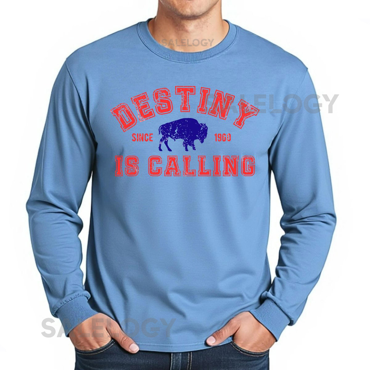 Destiny is Calling Long Sleeve Tee Vintage Buffalo Football Crewneck Shirt Christmas Gift for Buffalo Fan_616