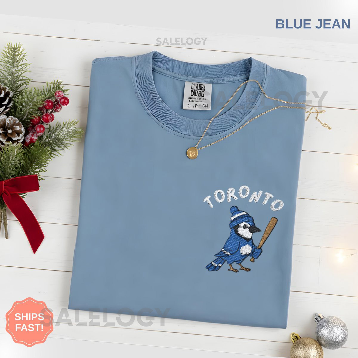 Embroidered Toronto Baseball Shirt Embroidery Blue Jay Bird T Shirt Canada Baseball Fan Sports Gift Unisex Comfort Colors Tee Men Women_155