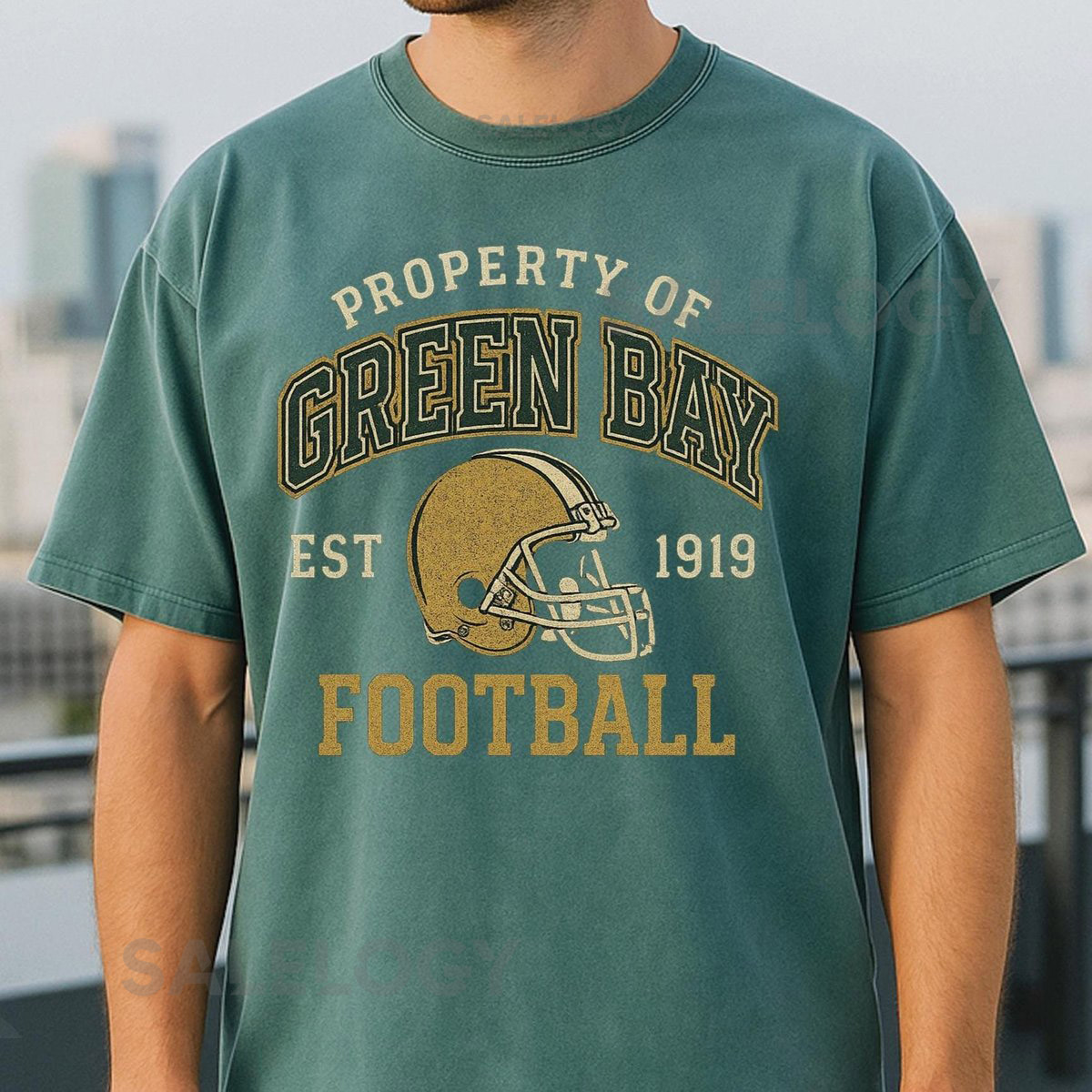 Vintage Green Bay American Football T-Shirt Packers Sweatshirt Soft Cotton Crewneck Tee EST 1919 Fan Gift Apparel Green Bay Wisconsin_722