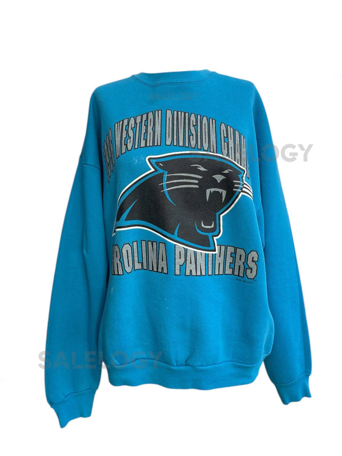 Vintage Carolina Panthers Sweatshirt 1995_1049