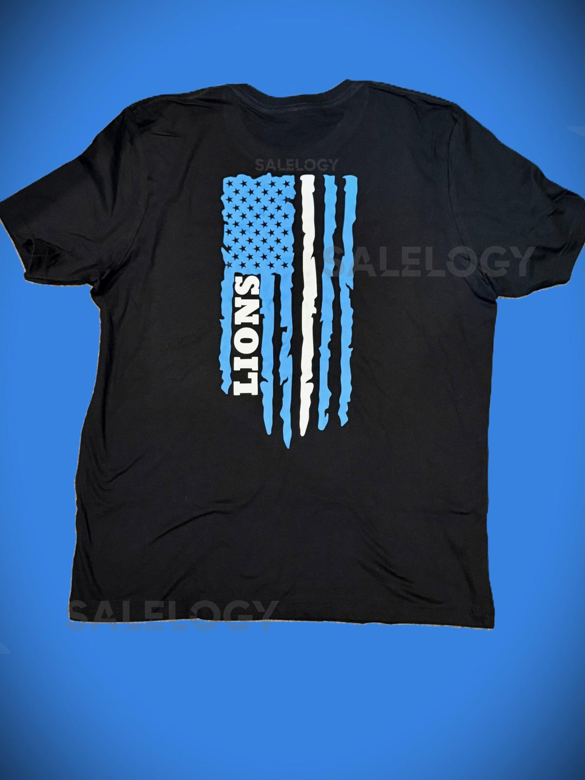 Detroit Lions Game Day T-Shirt_242