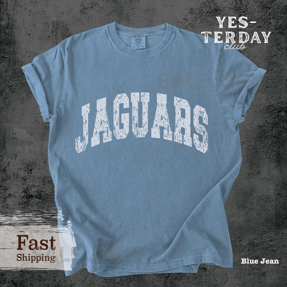Vintage Jaguars Mascot Shirt Comfort Colors Distressed School Mascot Shirt Retro Game Day Shirt school spirit tee Jaguars Team _1017