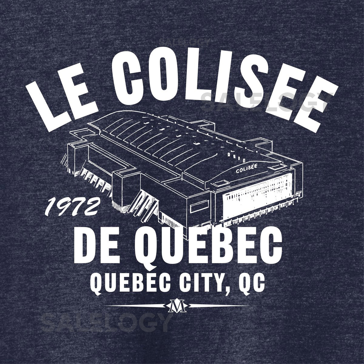 Le Colisee 1972 Hockey T-Shirt Quebec Nordiques Tri-Blend Tee_573