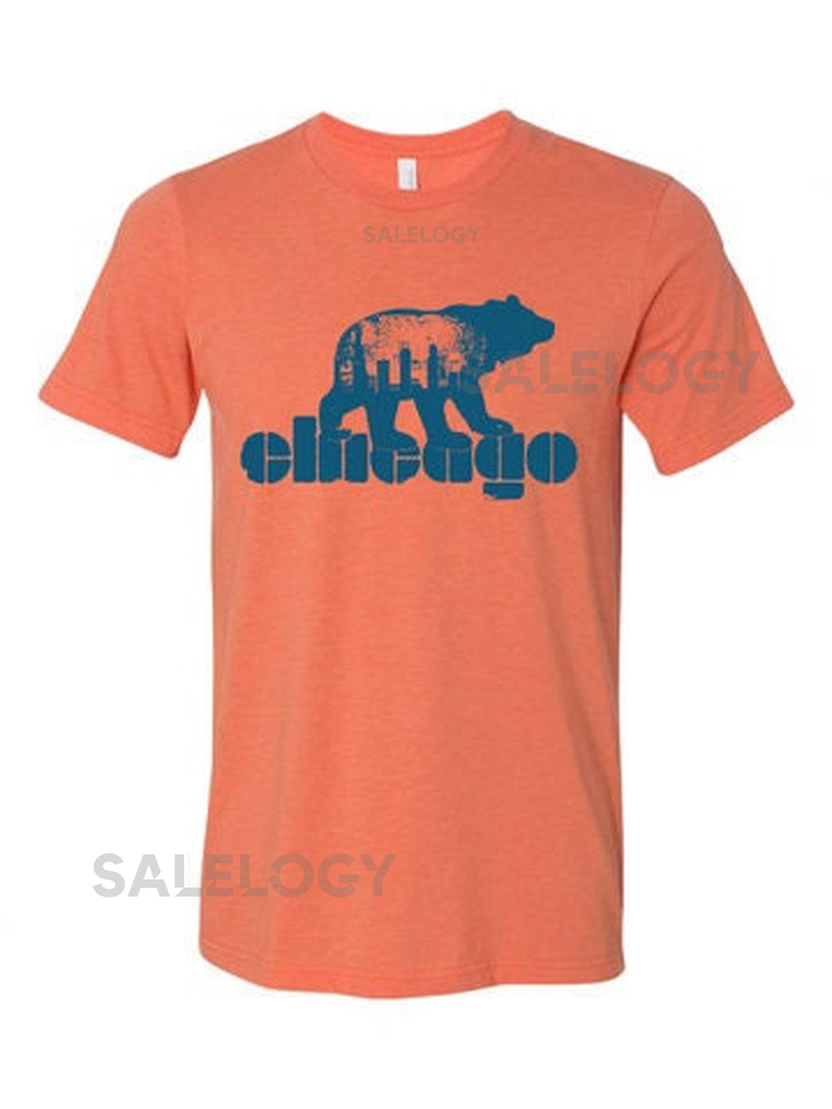 Chicago Bear DownBear Town Unisex T-Shirt_423