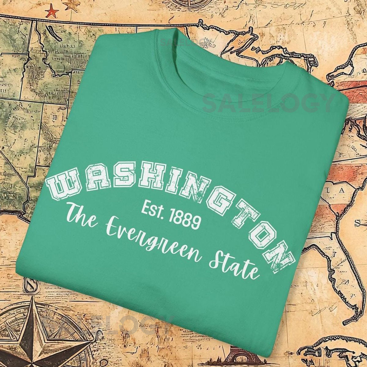 Vintage Washington Comfort Colors 1717 Unisex T-shirt - Retro college Tee Washington Huskies merch Seattle Seahawks sports West coast_660