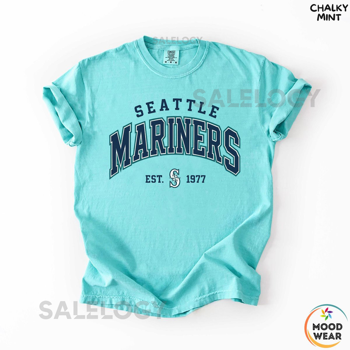 Seattle Football Vintage Comfort Colors T-ShirtSeattle Seahawk Football Crewneck Sweatshirt Seahawk Fan Gift Retro Seattle Football_310