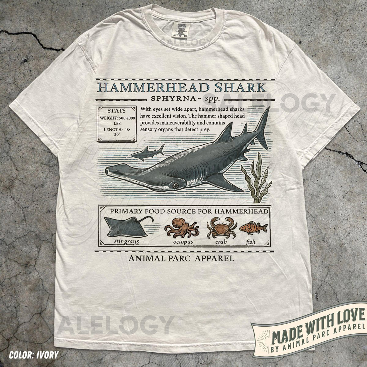 Vintage Hammerhead Shark Zoology T Shirt Retro Ocean Graphic Tee Marine Life Shirt Animal Biology Tee Beachwear Gift Shark Lover_617