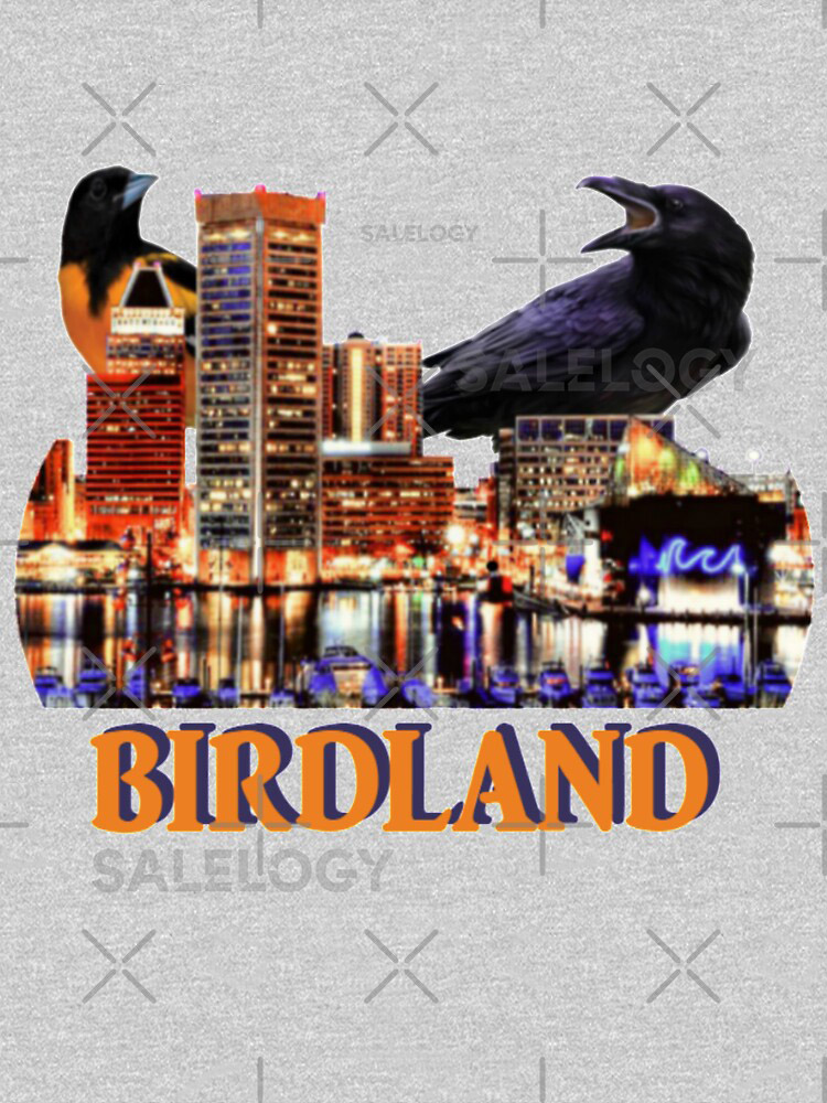 Baltimore Football and Baseball Hybrid Design Classicyy