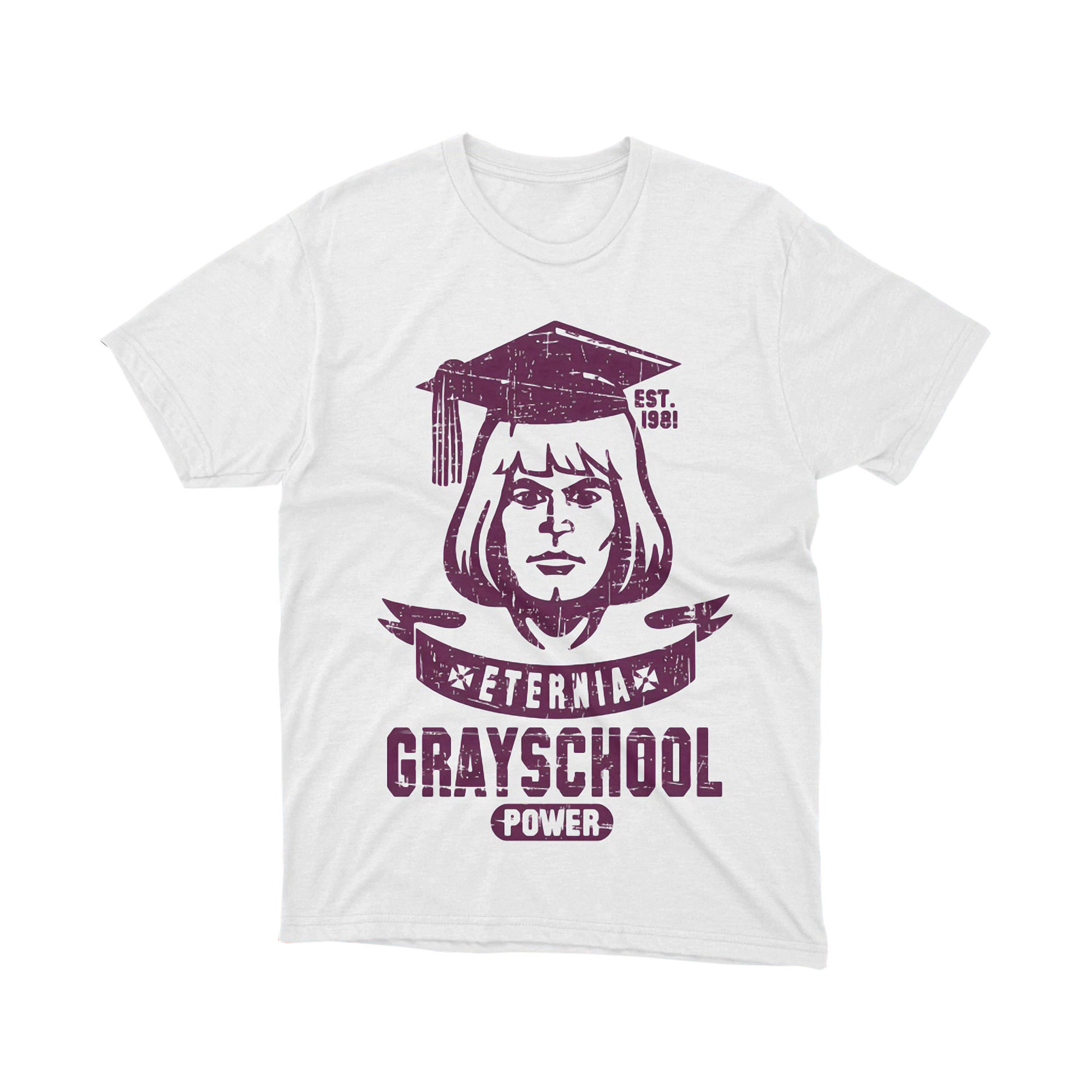 Masters of the Universe He Man Grayschool Eternia T Shirt