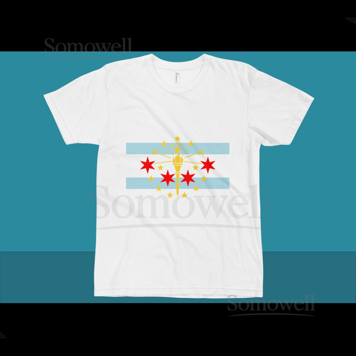 The Region - Northwest Indiana - Chicago - Flag T-Shirt_246