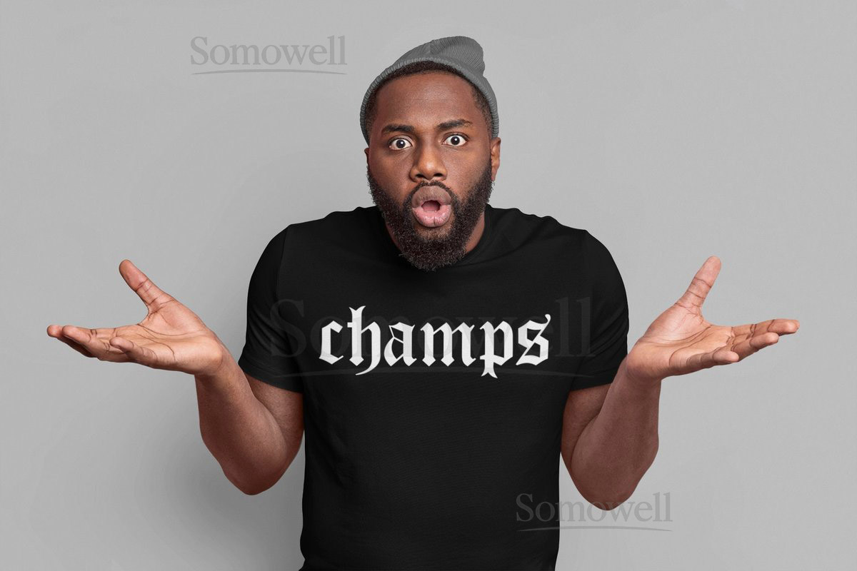 White Sox Championship Shirt The South Side Shirt Chicago baseball shirt Women's Sox Shirt Unisex White Sox Shirt Sox Clinched shirt_599