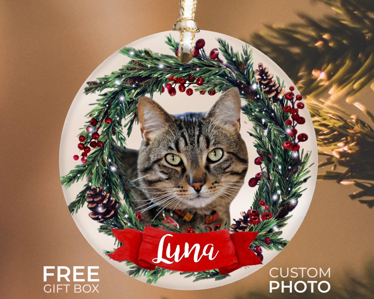 Personalized Pet Ornament Custom Cat Christmas Ornament Pet Memorial Ornament Cat Christmas Photo Ornament Pet Portrait Name Gift