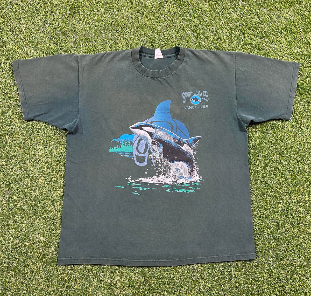 Vintage Vancouver Spirit Whales T Shirt Tee Wilson Size Medium M Canada Animal Graphic 1990s 90s_555