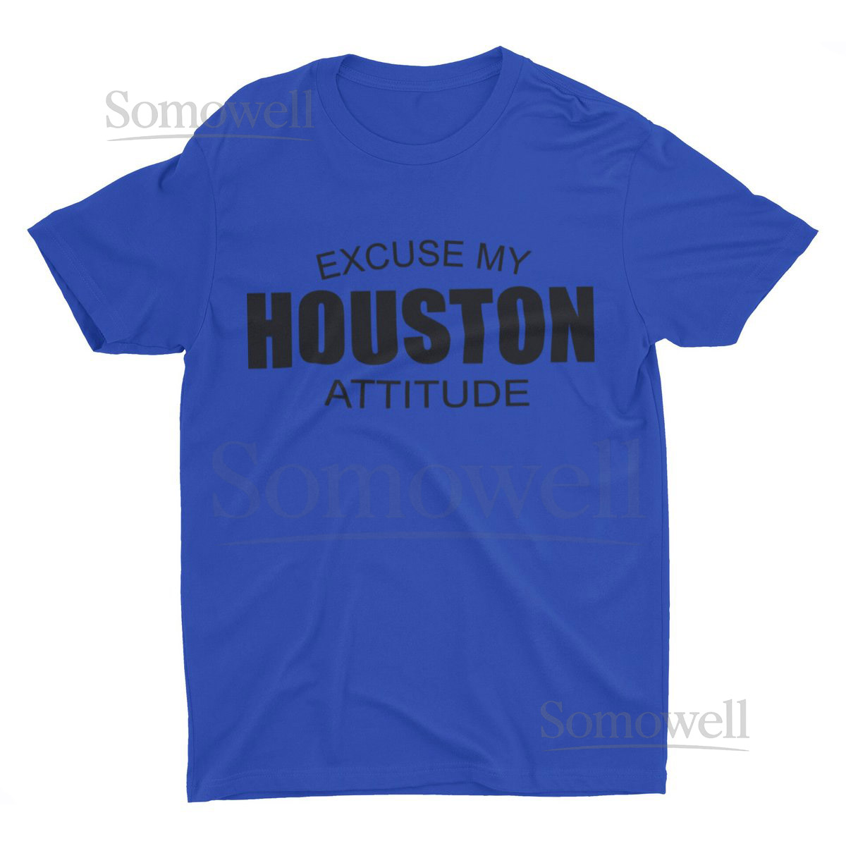 Excuse My Houston At_134