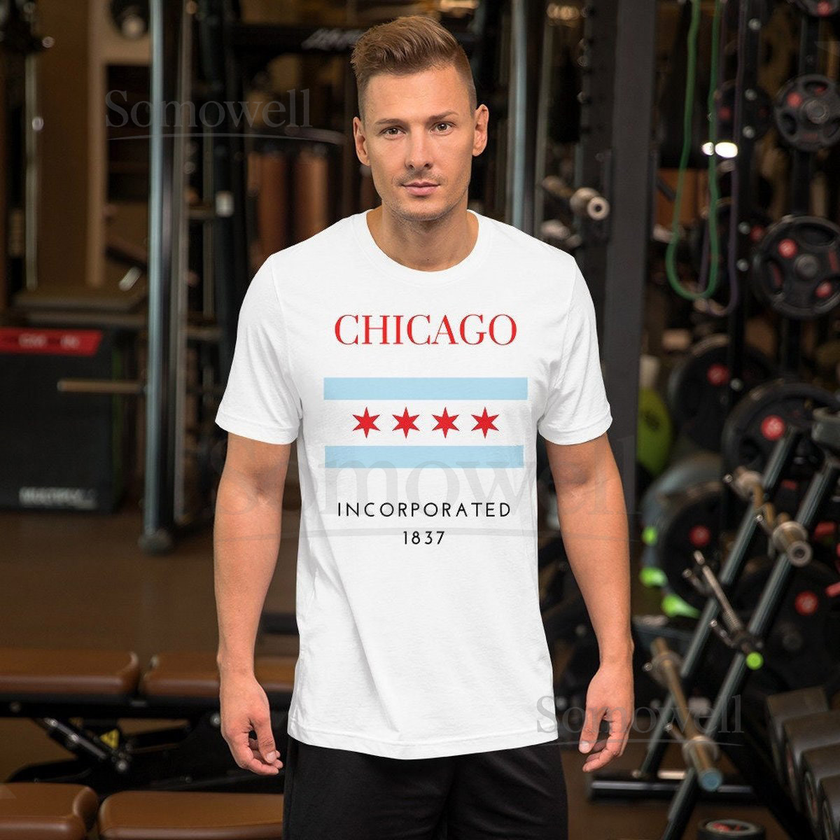 Chicago Chicago 1837 Chicago Flag Chicago City Flag Unisex t-shirt_180