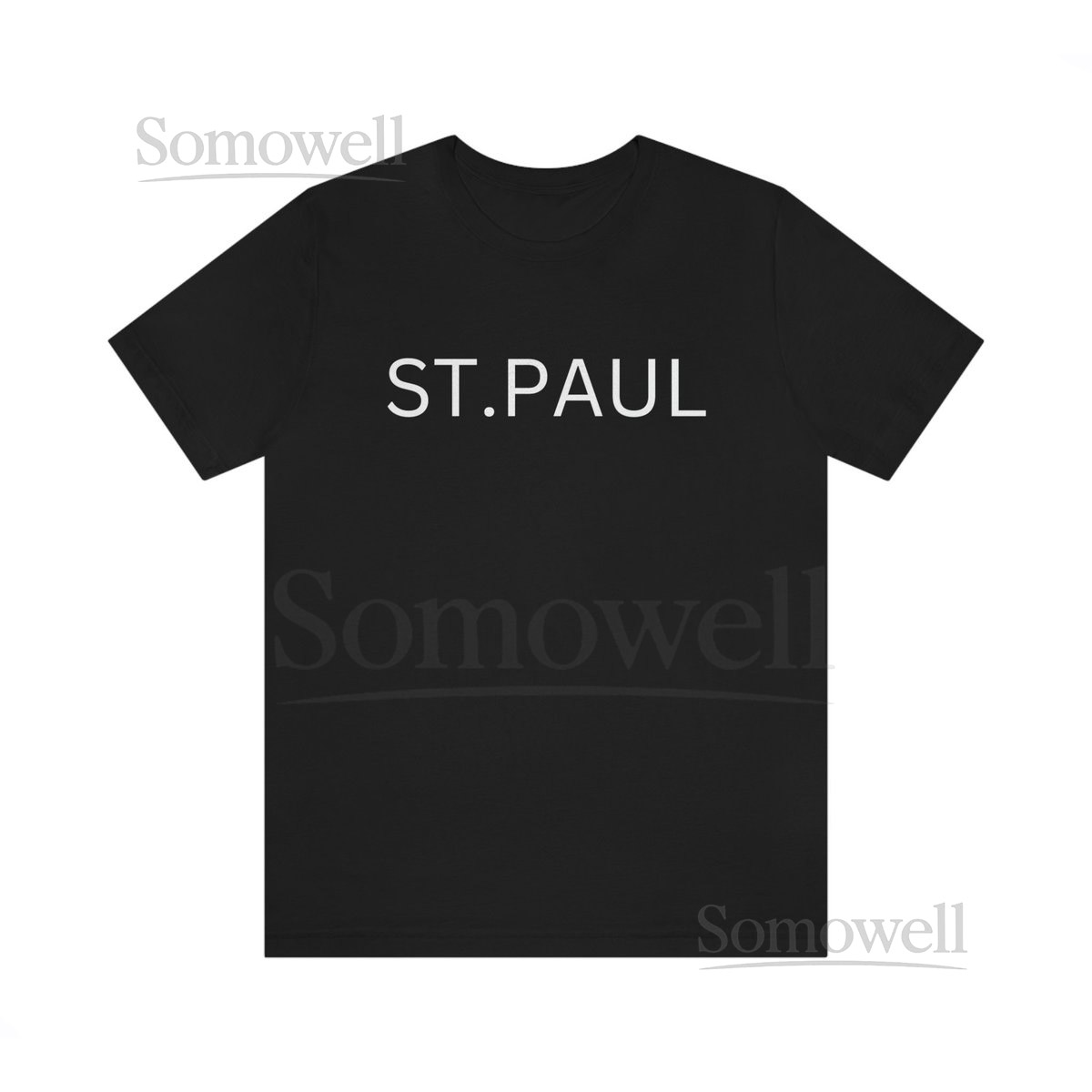 St. Paul Tshirt St. Paul St. Paul Tshirt Women's Tshirt Men's Tshirt Minnesota shirt Twin Cities Tshirt Shirt Tshirt_774