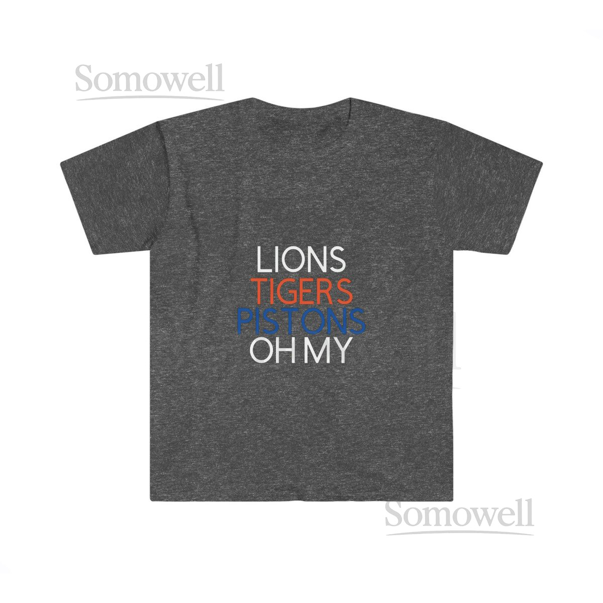 Unisex Detroit Sports T-Shirt_843