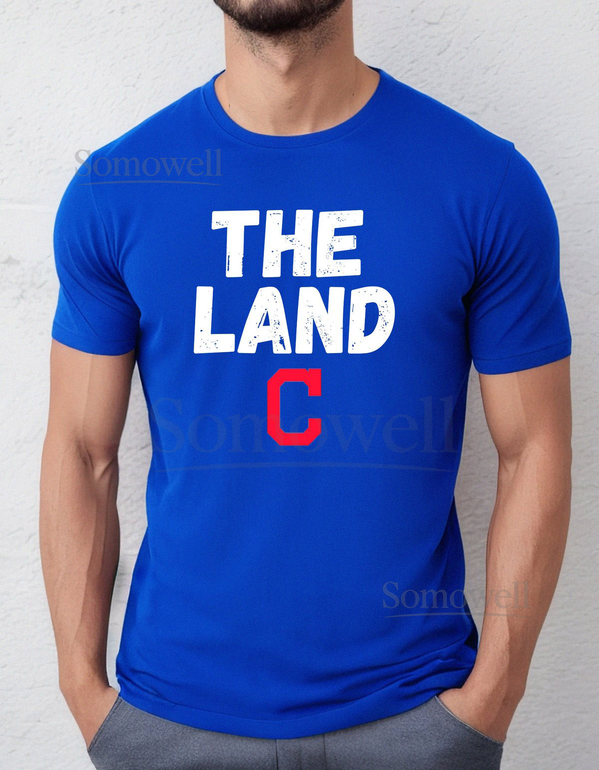 The Land shirt Cleveland Indians shirt Cleveland Guardians shirt CLE shirt cleveland indians Cleveland sports fan shirt Cleveland Tee_241