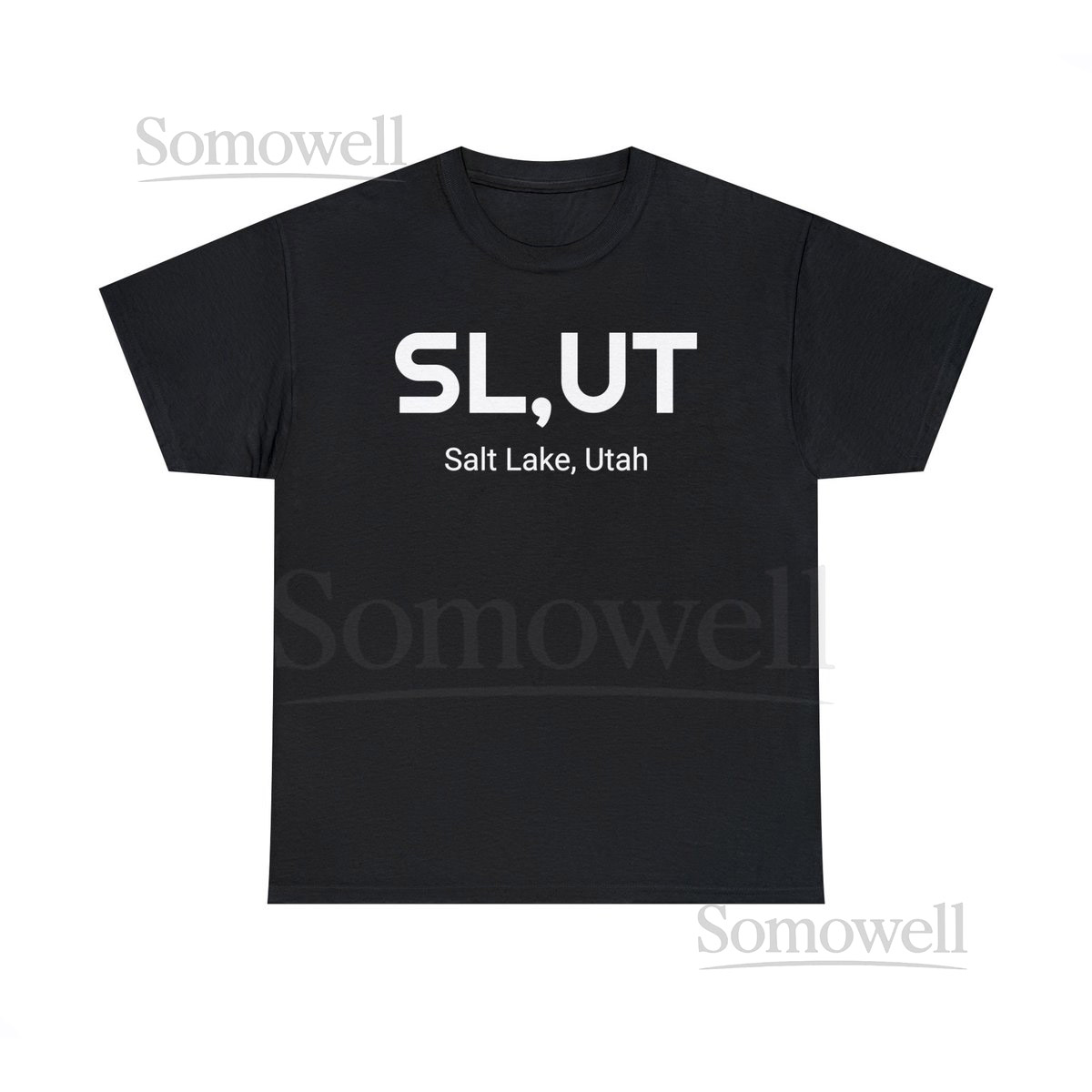 Salt Lake City Utah Funny Unisex 100 Cotton Tee_464