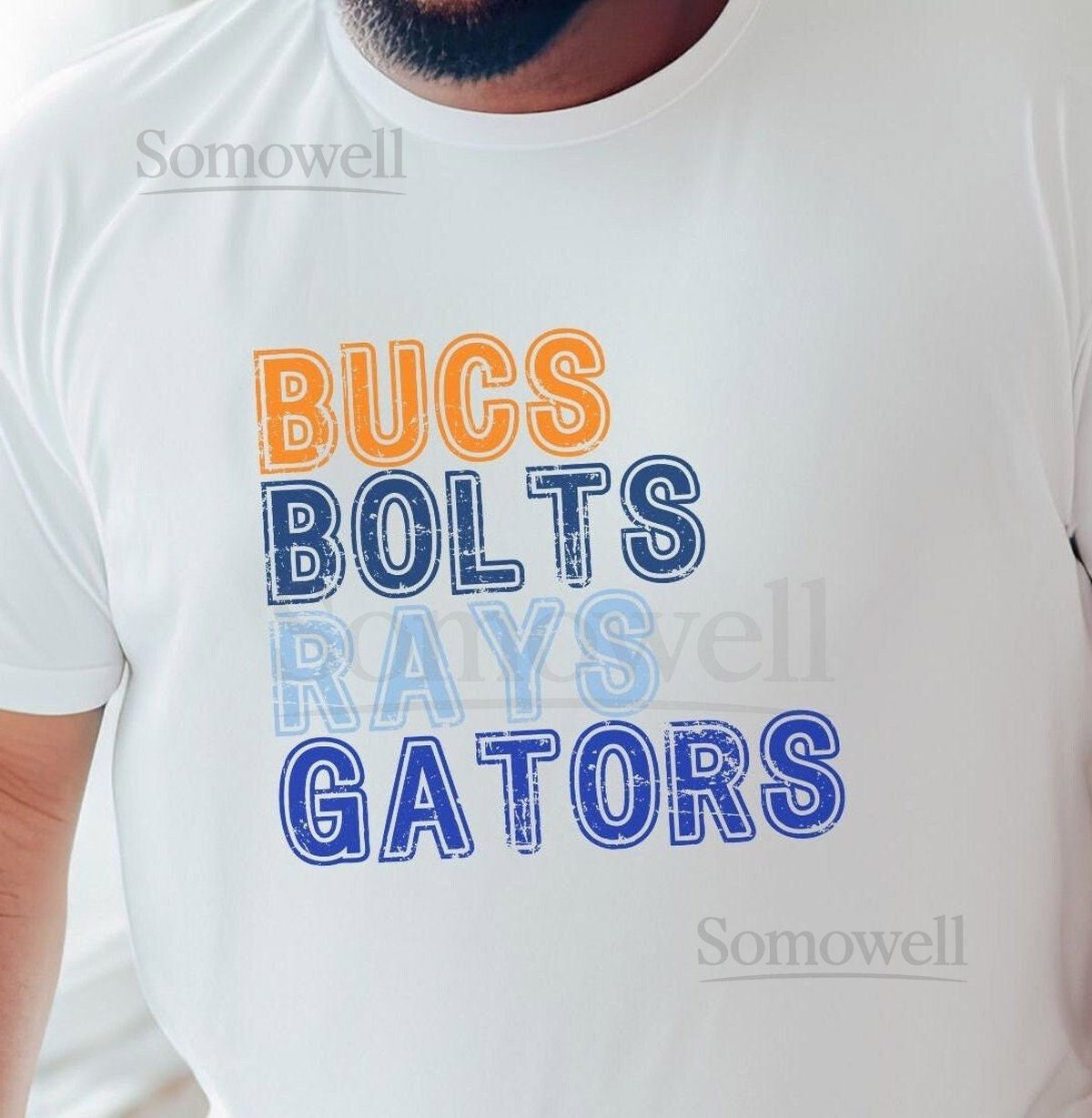 Tampa Sports Shirt Gift for Tampa Sports Fan Tampa Teams Shirt Tampa Bay Dad Gift Buccaneers Shirt Rays Tshirt Lightning T-shirt Gators Tee_225