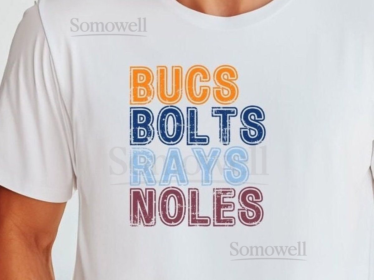 Tampa Sports Shirt Gift for Tampa Sport Fan Tampa Team Shirt Tampa Bay Dad Gift Buccaneers Shirt Rays Tshirt Lightning T-shirt FSU Noles Tee_223