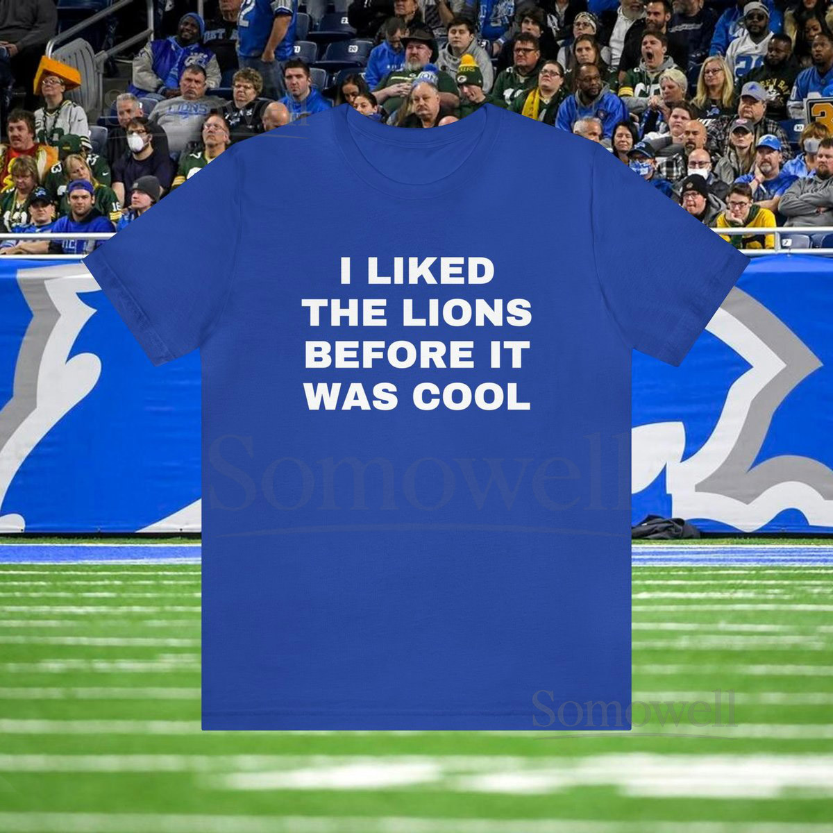 I Liked The Lions Before It Was Cool Shirt Detroit Lions Shirt Football Shirt Funny Shirt_513