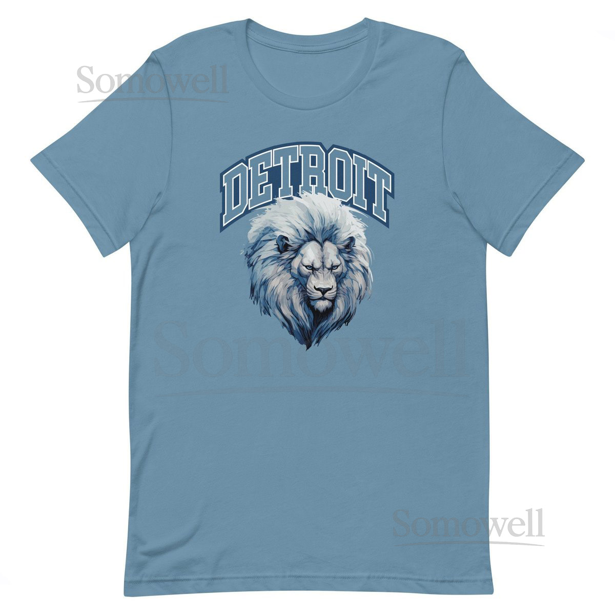 Detroit Football Lion Game Day Unisex T-shirt_116
