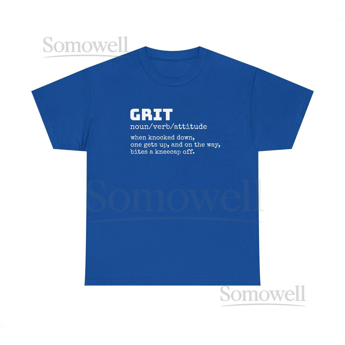 Detroit quotGritquot t-shirt. Lions fans only_330