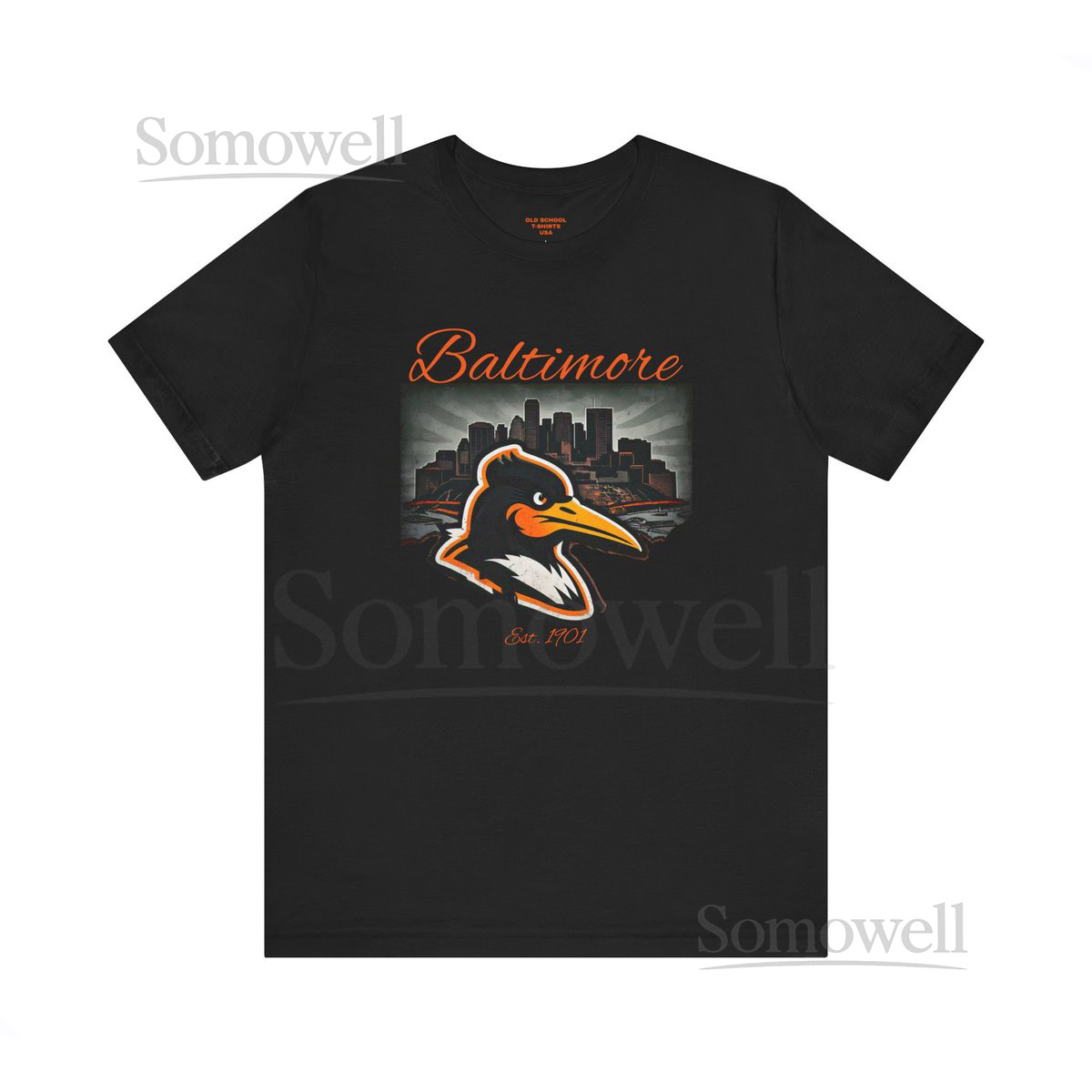 Baltimore Baseball Tee City of Baltimore Baseball Tee Baltimore Tee Baltimore Shirt Baltimore Shirts Short Sleeve Tee_43